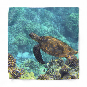 turtle in the sea bandana