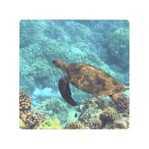 turtle in the sea metal print