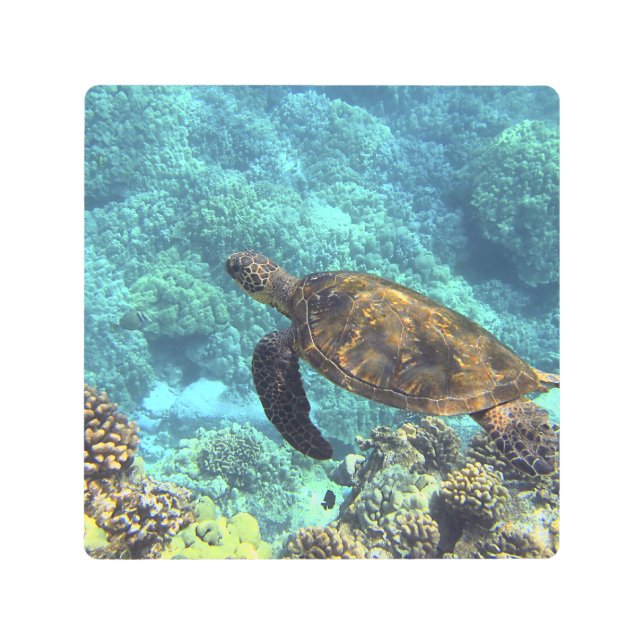 turtle in the sea metal print (Front)