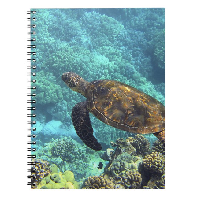 turtle in the sea notebook (Front)