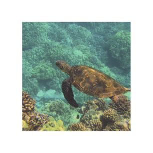 turtle in the sea wood wall art