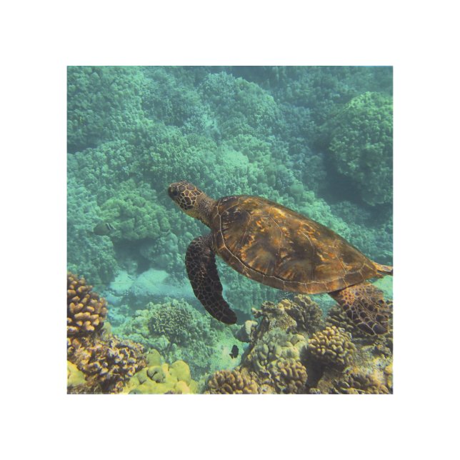 turtle in the sea wood wall art (Front)
