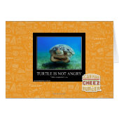 Turtle Is Not Angry (Front Horizontal)