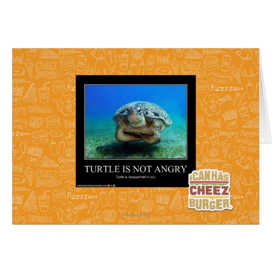 Turtle Is Not Angry Cards (Front Horizontal)