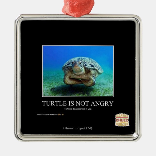 Turtle Is Not Angry Metal Ornament (Front)