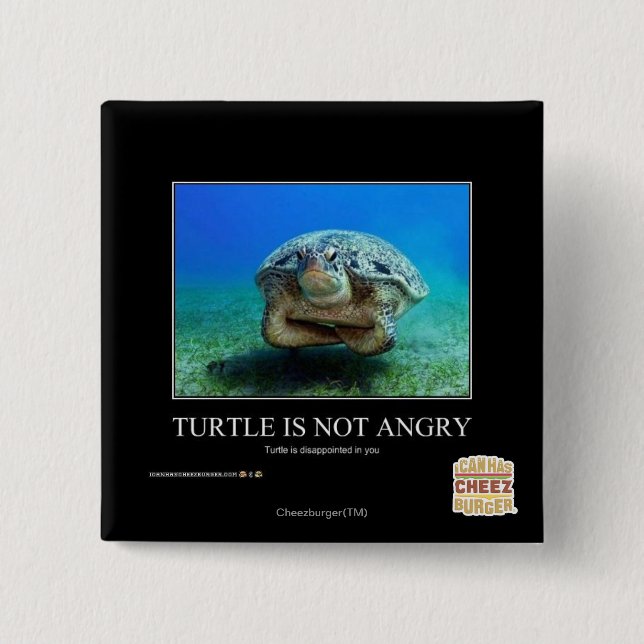Turtle Is Not Angry Pinback Button (Front)
