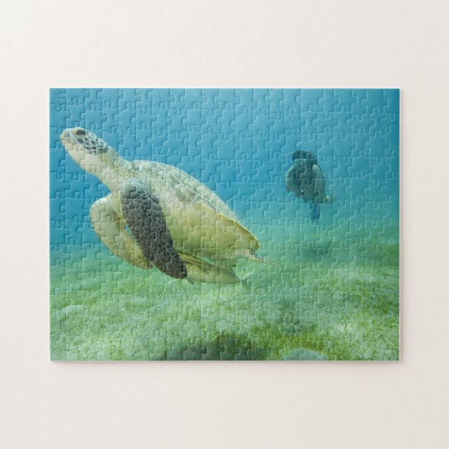 Turtle Jigsaw Puzzle (Horizontal)