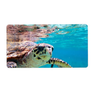 Turtle Label
