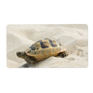 Turtle Label