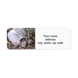 Turtle Label