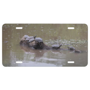 Turtle License Plate
