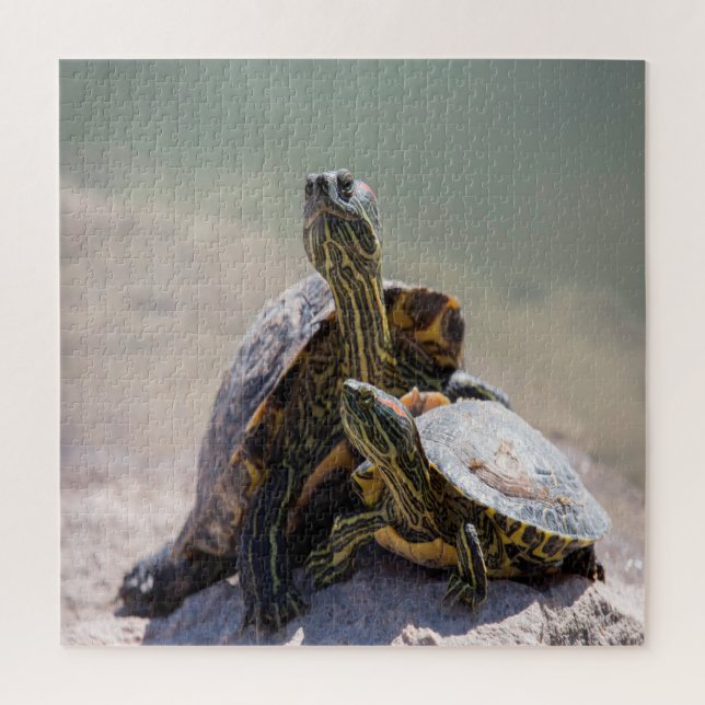Turtle Love Jigsaw Puzzle (Vertical)
