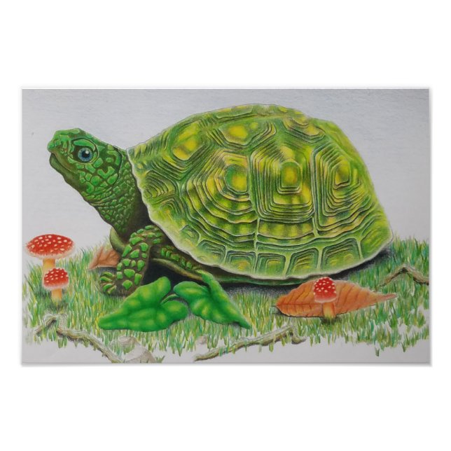 "Turtle Love" Original poster by Baylen Parada (bp (Front)