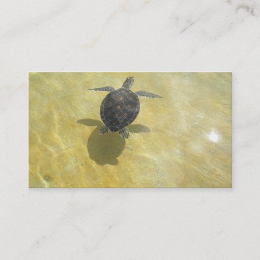 Customizable Turtle Lover Business Card