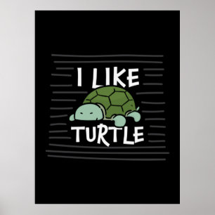 Turtle Lover I Like Turtles Poster