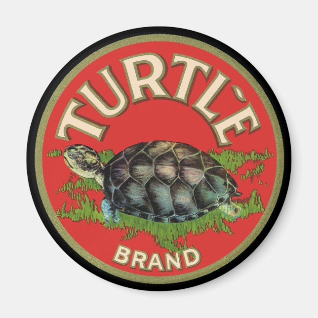 Turtle Magnet (Front)