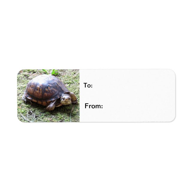 Turtle - Mossy Path Label (Front)