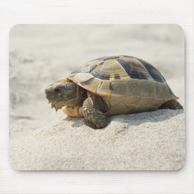 Turtle Mouse Pad (Front)