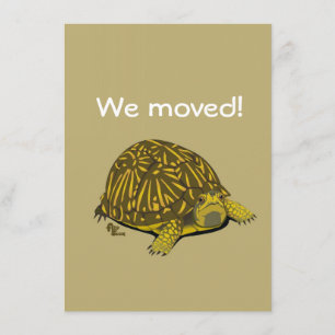 Turtle Moving Announcement