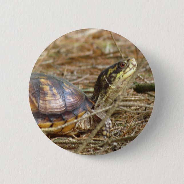 Turtle - Neck Out Button (Front)