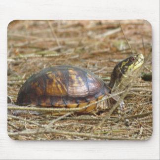 Turtle - Neck Out Mouse Pad