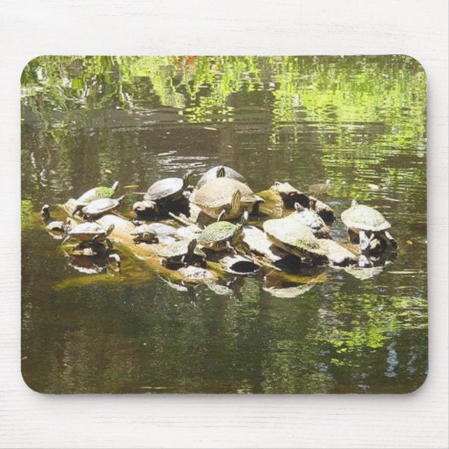 Turtle Networking... Mouse Pad (Front)