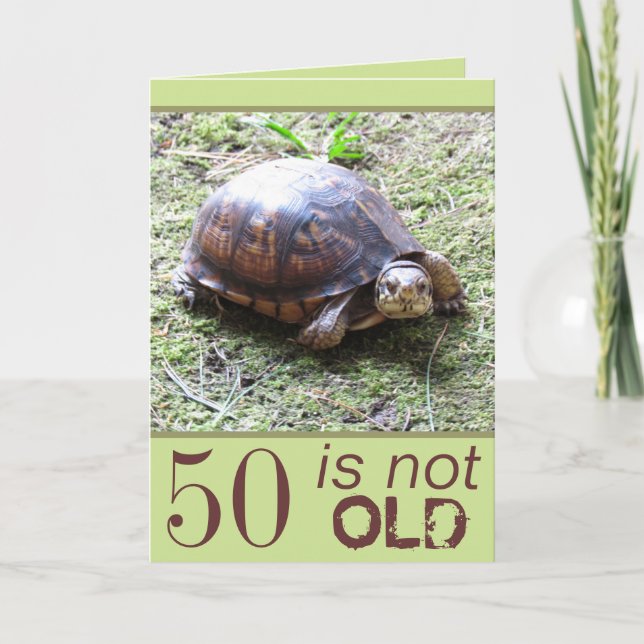 Turtle - Not Old -  Birthday Card (Front)