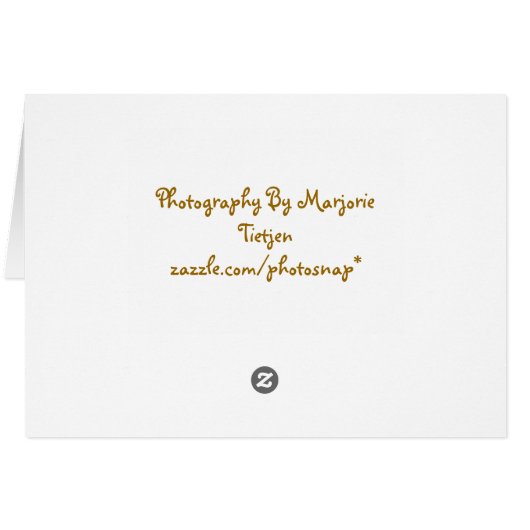 Turtle Note Card (Back Horizontal)