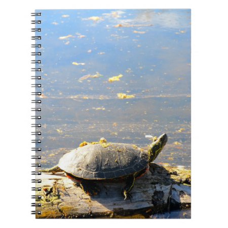 Turtle Notebook