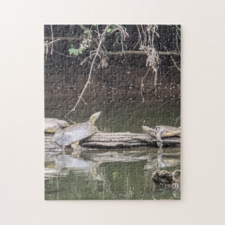 Turtle on a Log Jigsaw Puzzle
