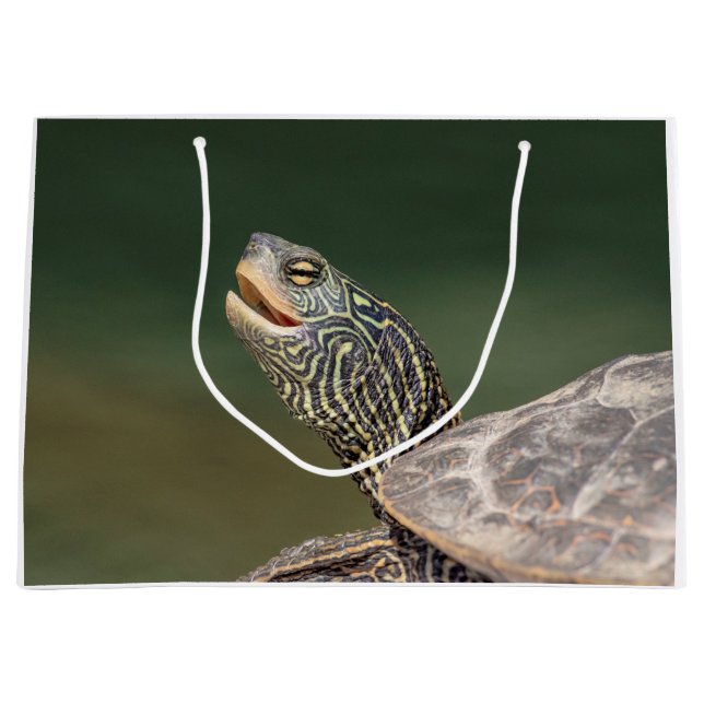Turtle on LaChute River Large Gift Bag (Front)