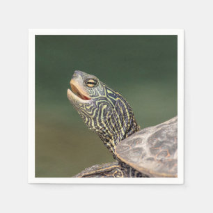Turtle on LaChute River Napkins