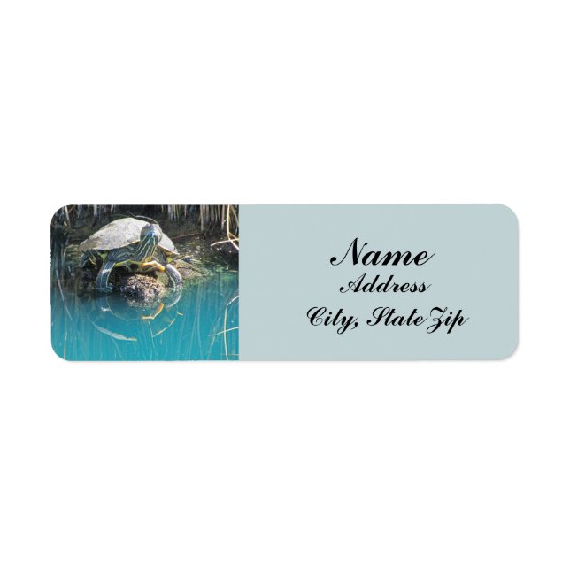 Turtle on Rock Water Reflection Photo Nature Label (Front)