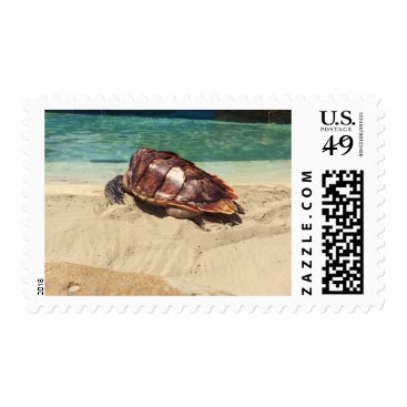 Turtle on the Beach Stamp Turtle on the Beach Stamp