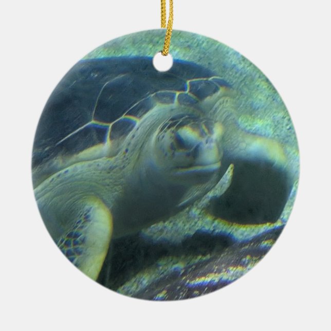 Turtle Ornament (Front)