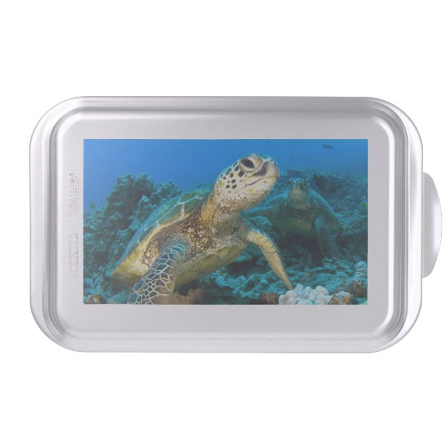 Turtle Pair Cake Pan (Front)