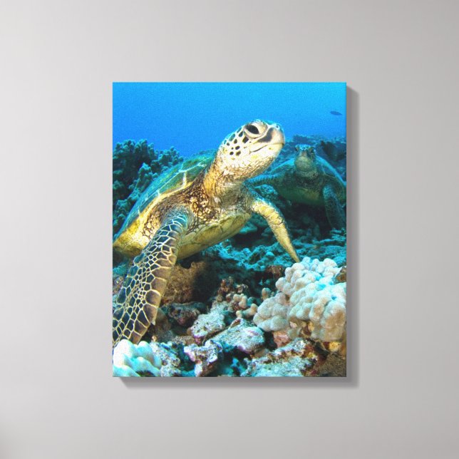 Turtle Pair Canvas Print (Front)