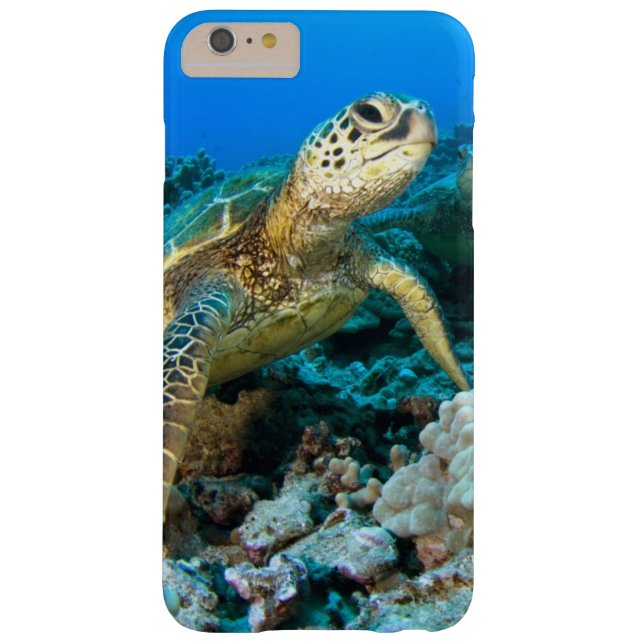 Turtle Pair Case-Mate iPhone Case (Back)