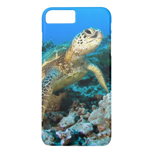 Turtle Pair Case-Mate iPhone Case (Back)