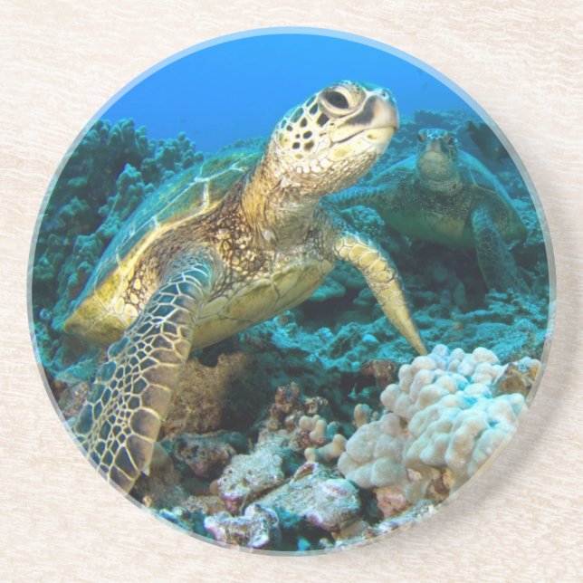 Turtle Pair Drink Coaster (Front)