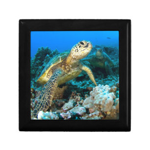 Turtle Pair Jewelry Box