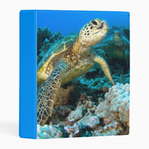 Turtle Pair Mini Binder
