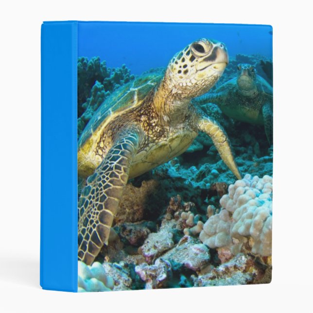 Turtle Pair Mini Binder (Front/Spine)