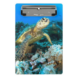 Turtle Pair Mini Clipboard