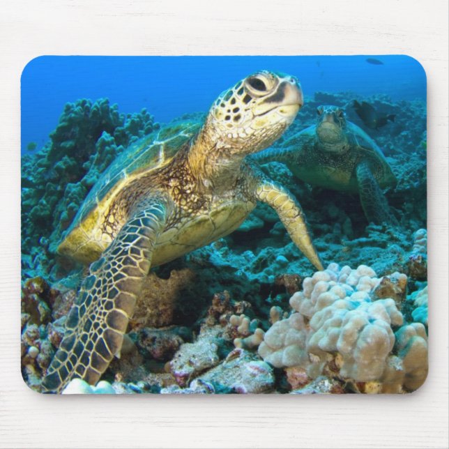 Turtle Pair Mouse Pad (Front)