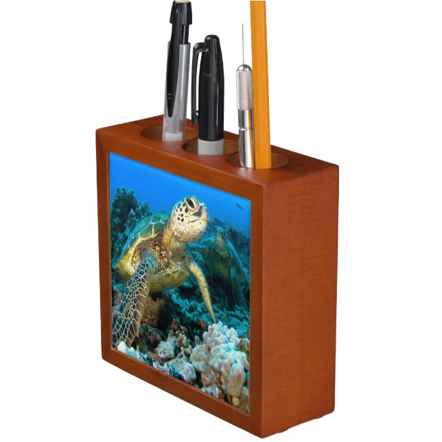 Turtle Pair Pencil Holder (In Situ)