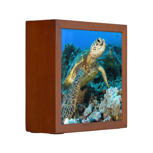 Turtle Pair Pencil Holder | Zazzle