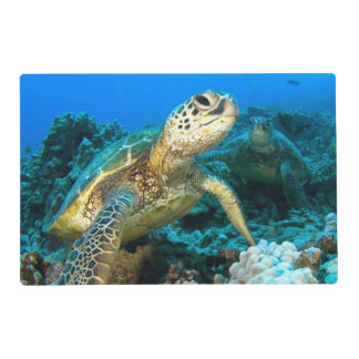 Turtle Pair Placemat