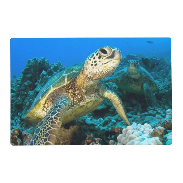 Turtle Pair Placemat (Front)