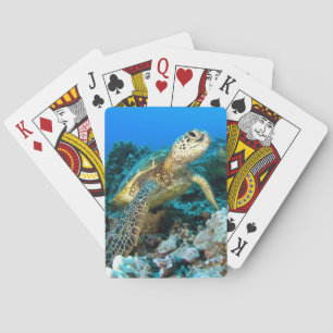 Turtle Pair Poker Cards